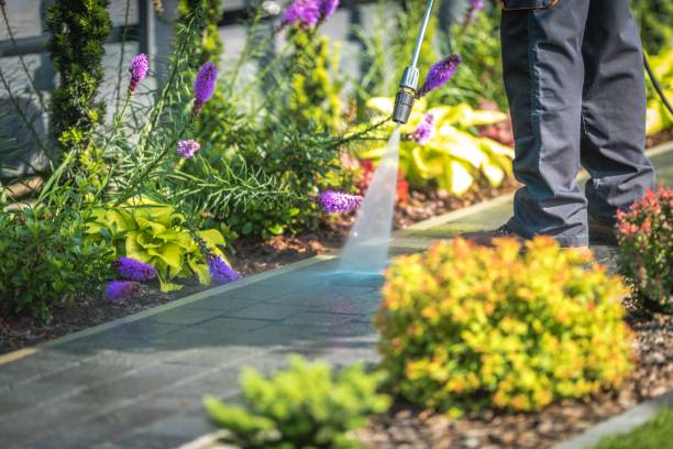 Reliable Woodville, WI  Pressure Washing Services Solutions
